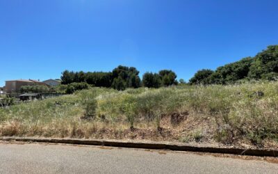 terrain à batir en exclusivité à Bellegarde – 217 000€