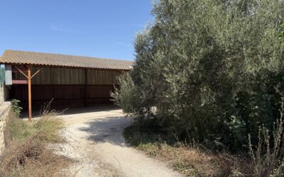 terrain à batir en exclusivité à Bellegarde 130 000 €