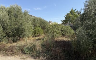 terrain à batir en exclusivité à Bellegarde  130 000€